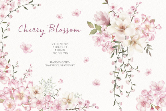 Download Watercolor Cherry Blossom Clipart - Art Collection