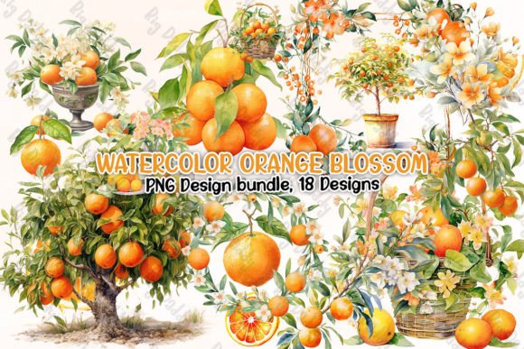Download Watercolor Orange Blossom Clipart PNG - Art Collection