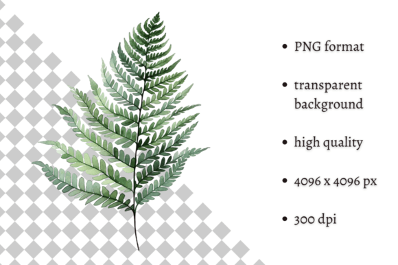 Download Watercolor Woodland Fern PNG Clipart - Art Collection