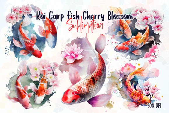 Download Japanese Koi Fish Cherry Blossom Clipart - Art Collection