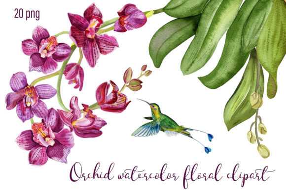 Download Orchid Watercolor Floral Digital Clipart - Art Collection