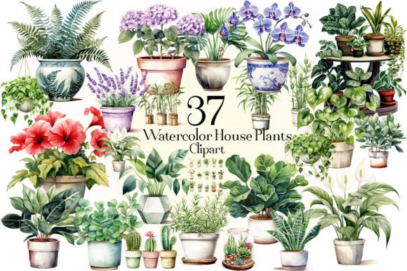 Download Watercolor House Plants Clipart - Art Collection
