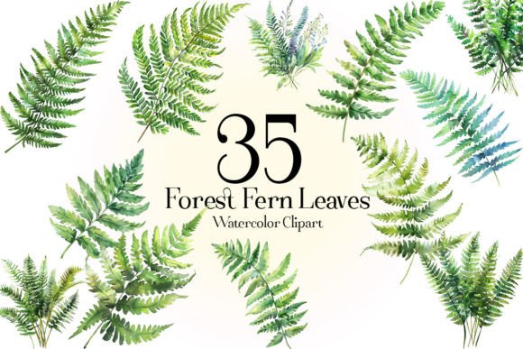 Download Forest Fern Leaves Clipart - Art Collection