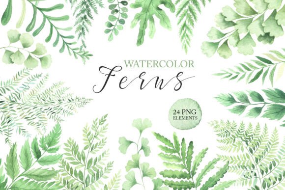 Download Watercolor Fern Green Leaves Clipart PNG - Art Collection