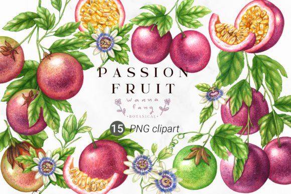 Download Passion Fruit Watercolor Clipart, PNG - Art Collection