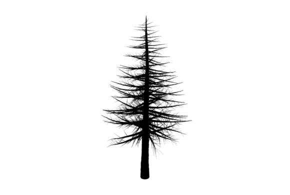 Download Seasonal Clipart Symbol - Art Collection